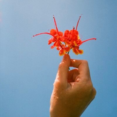 lens-based artist ∞ https://t.co/nJHHyc9oFs ∞ stories and animated GIFs made of scanned 35mm films ∞ 24April-16May, 2025 Galerie Data, Paris
