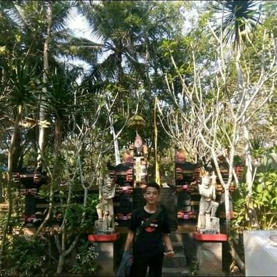 234Asp's profile picture. ig.adisp_02