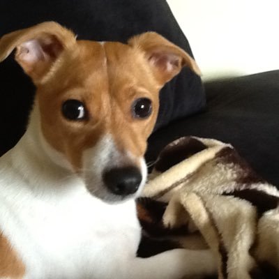 Trish41351600's profile picture. 