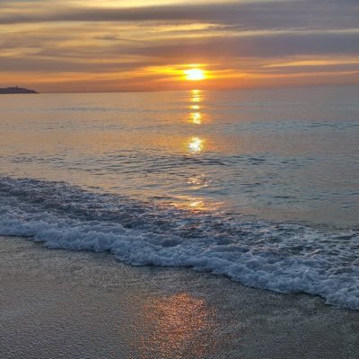 martaborrastur1's profile picture. .