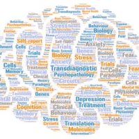 Transdiagnostic Mental Health Network (@transdiagnostic) 's Twitter Profile Photo Transdiagnostic Mental Health Network (@transdiagnostic) 's Twitter Profile Photo