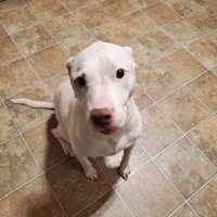 Ultra Neanderthal, MA (@camille10620553) 's Twitter Profile