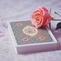 تفسير القران الكريم (@tafsir_alquran2) 's Twitter Profile