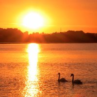 The Coastal Guide (@coastalguideuk) 's Twitter Profile