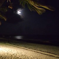 Mo Wanja (@mo_wanja) 's Twitter Profile