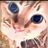 yuyukuma321's profile image