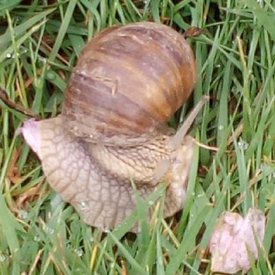 EderMeike's profile picture. 