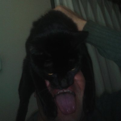 ri_ambrosio's profile picture. 😎