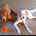 Bill Basham - @Bill_Basham - Twitter