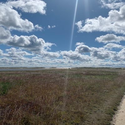 Pembrokest21's profile picture. 