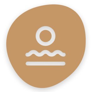 Natives in Tech Profile