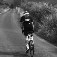 The Mamil (@sullytheblue) 's Twitter Profile Photo The Mamil (@sullytheblue) 's Twitter Profile Photo