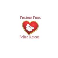 Precious Purrs Feline Rescue(@PurrsFeline) 's Twitter Profile Photo