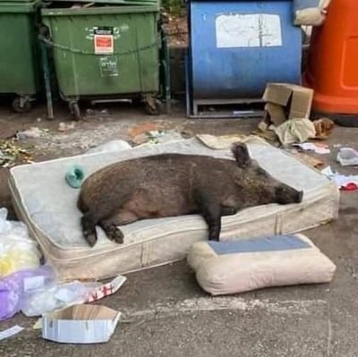 Babar94967554's profile picture. NA