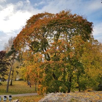 perkka454's profile picture. 