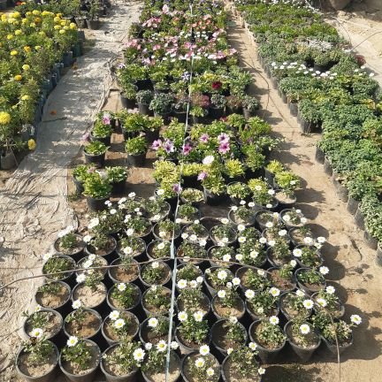 khansuduzai1's profile picture. take personal reponsibilities