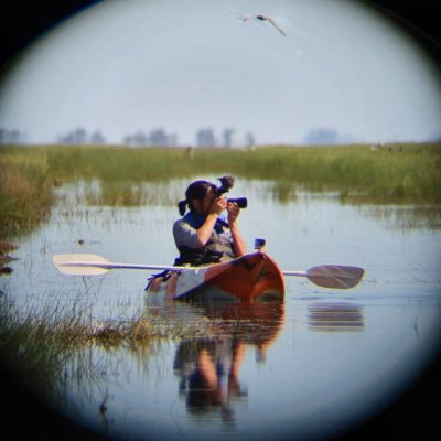 Luke Wong Mrlukewong Twitter