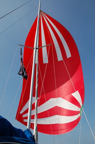 sebstr0m's profile picture. Privateer