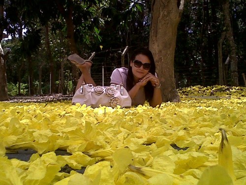 mluizamedeiros's profile picture. A BELEZA DE SER UMA ETERNA APRENDIZ!!!