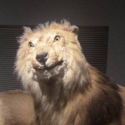 Jebbenn's profile picture. 