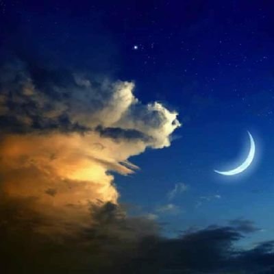 Constan80872448's profile picture. 