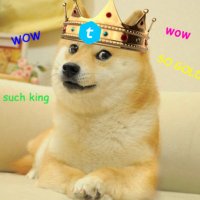 Doge King (@yourmajestydoge) 's Twitter Profile Photo Doge King (@yourmajestydoge) 's Twitter Profile Photo