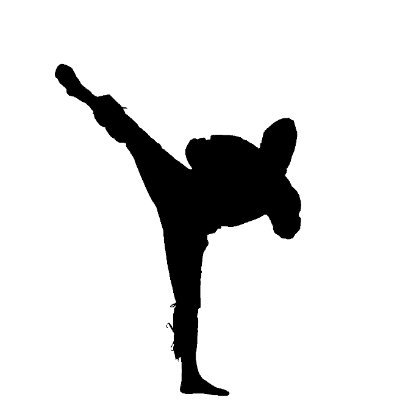 codegen_ninja's profile picture. The ultimate arsenal of ninja developers