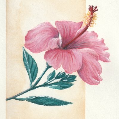 Levihymaさんのプロフィール画像