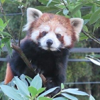 kijyozoo's profile picture. 