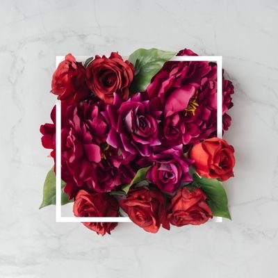 AyaforTeraMind's profile picture. TM