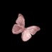 Buttxrfly🦋 (@wewedsar) Twitter profile photo