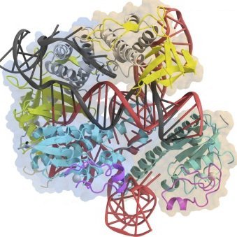 CRISPR MEMES Profile