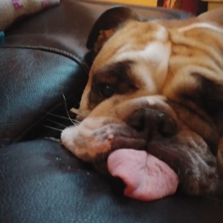 RiverOwl83's profile picture. Pfft. Like I'd tell you.