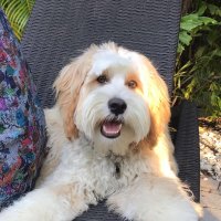 Schwabcycler (@schwabcycler) 's Twitter Profile Photo Schwabcycler (@schwabcycler) 's Twitter Profile Photo