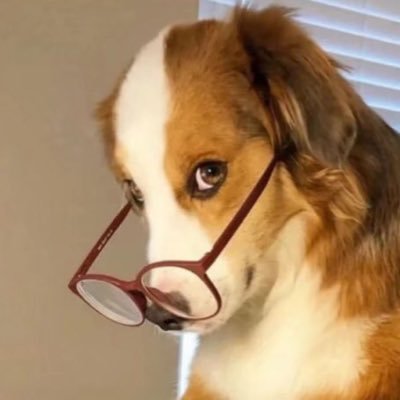 kc97t9's profile picture. 千葉大工学部 よろしくお願いします