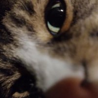 LoganUS (@loganus3) 's Twitter Profile