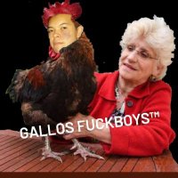 Gallos Fuckboys™️ (@gallos_fuckboys) 's Twitter Profile Photo Gallos Fuckboys™️ (@gallos_fuckboys) 's Twitter Profile Photo