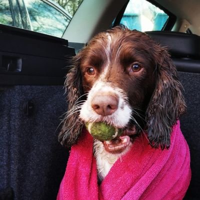 damo1429's profile picture. 