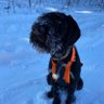 BenErlandson118's profile picture. Husband, Father, City employee, Outdoor Enthusiast, Minnesota Sports Fan