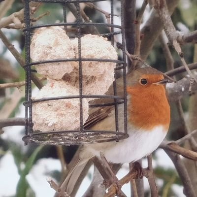 Dislike injustice, unfairness, corruption, cronyism, liars, fraudsters etc but love my family, nature, animals, photography, my business & empowering ourselves.
