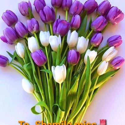 JuveyriyaaHaro1's profile picture. 