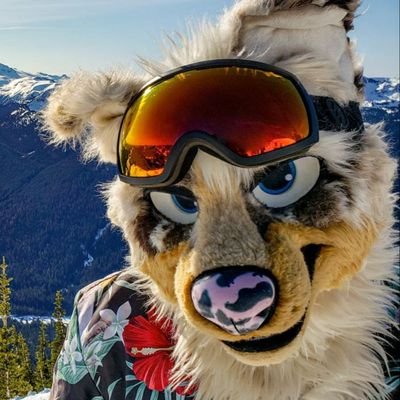 I kayak, snowboard, and dress up like a dog.