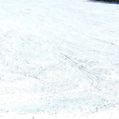 shinycannon's profile picture. 🦬