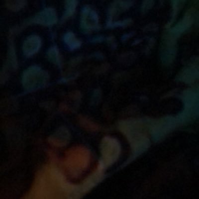 justin11800156's profile picture. 