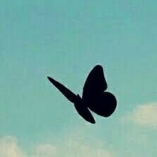 Plarisa8's profile picture. Fan account  no.1 #เป๊กผลิตโชค ⭐702🌴🍍 🦋 I am your butterfly 🦋   Nutch 🐒❤️🐬ใจฟู