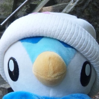 Chelonさんのプロフィール画像