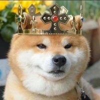 cdk (@cdkisall) 's Twitter Profile