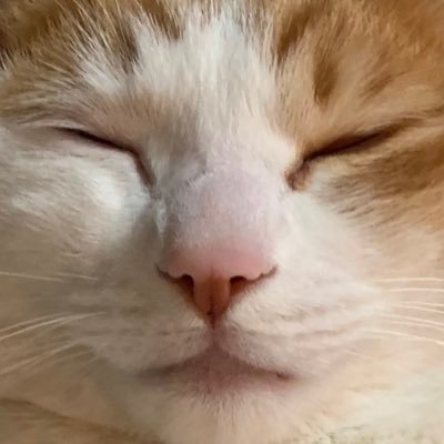 vamp_gogo's profile picture. 그냥 지나가세요, 제발.