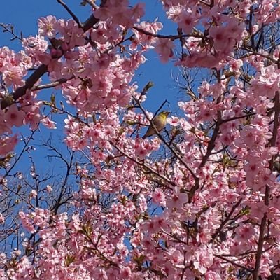 西東京市田無好きのひと 1pno5s9gowv74ya Twitter 西東京市田無好きのひと 1pno5s9gowv74ya Twitter