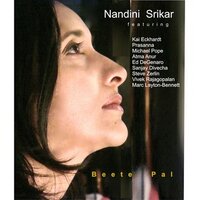 Nandini Srikar(@NandiniSrikar) 's Twitter Profile Photo
